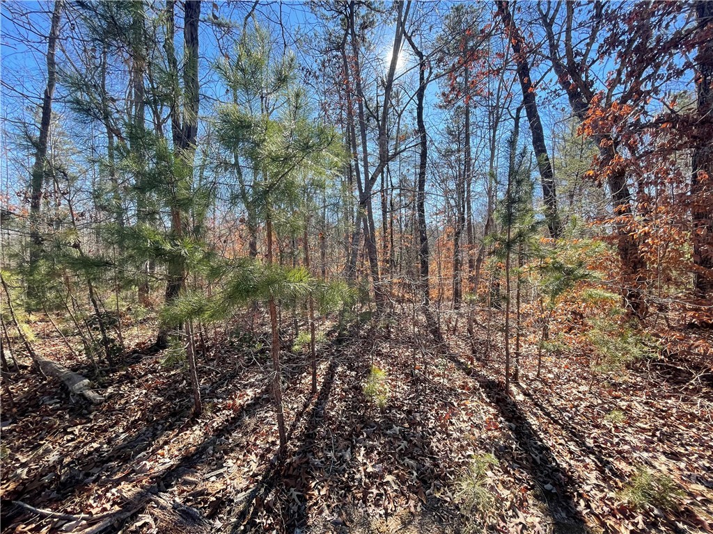 06 Sixteenth Circle, Walhalla, South Carolina image 3