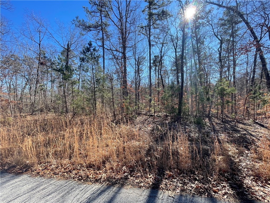 06 Sixteenth Circle, Walhalla, South Carolina image 1