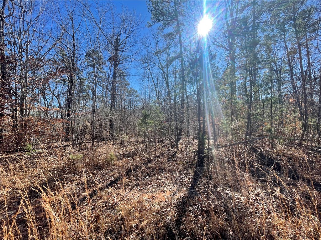 06 Sixteenth Circle, Walhalla, South Carolina image 8