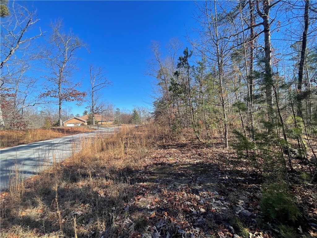 06 Sixteenth Circle, Walhalla, South Carolina image 4