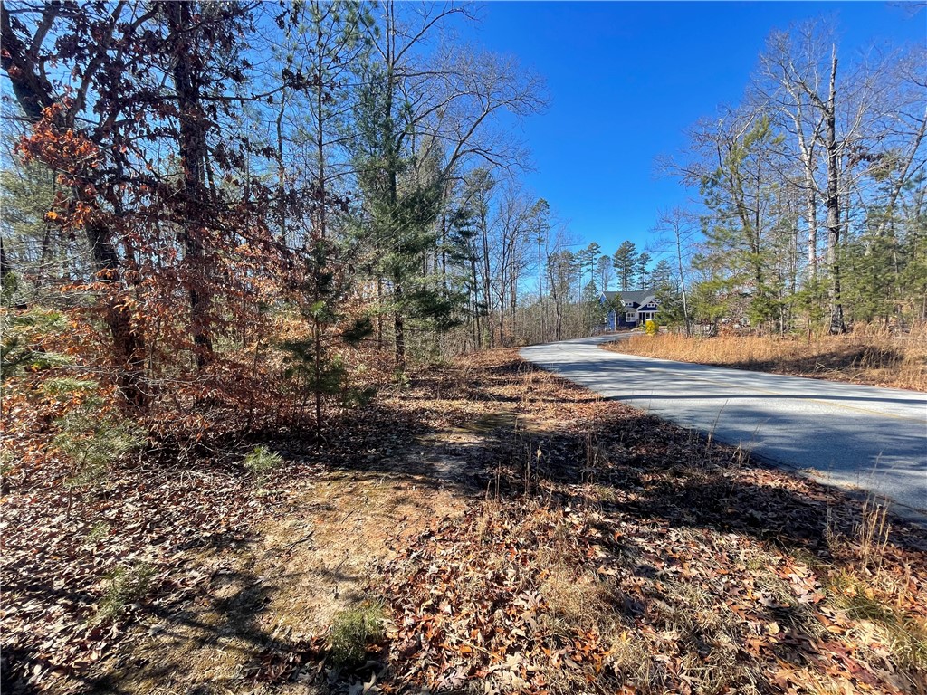 06 Sixteenth Circle, Walhalla, South Carolina image 2