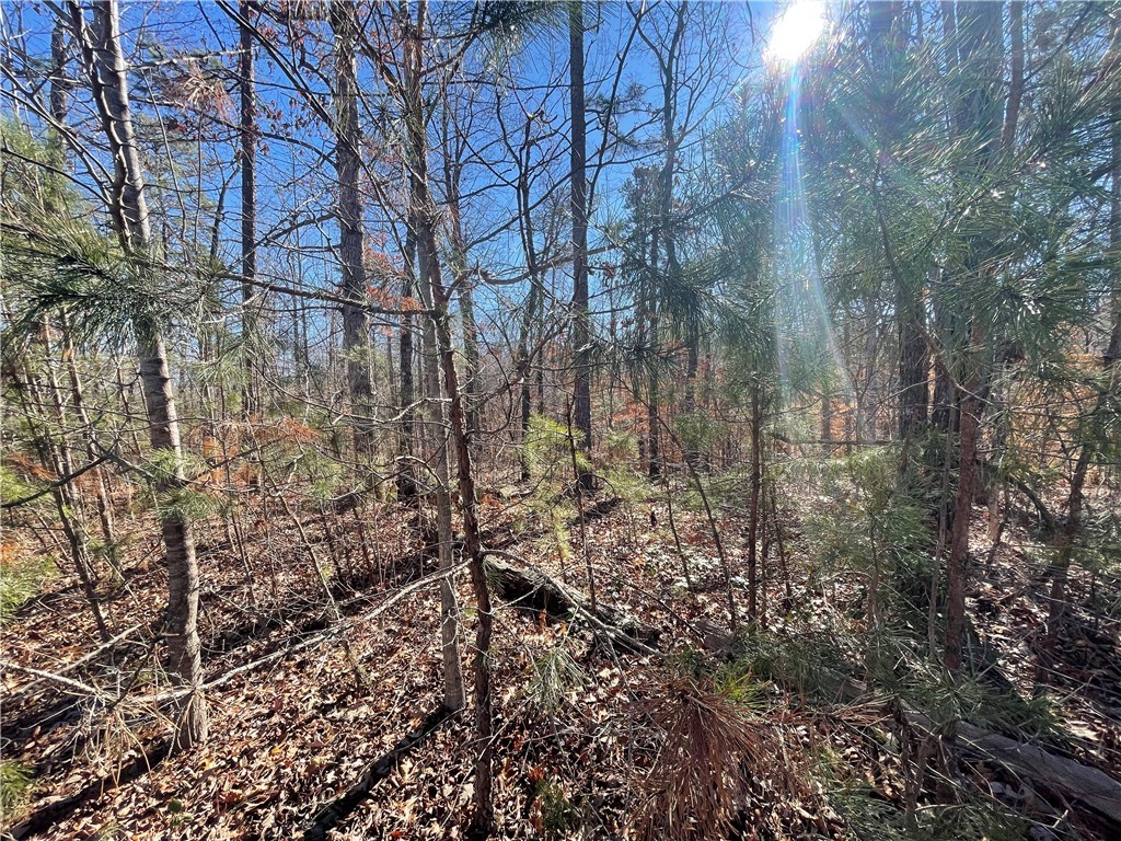 06 Sixteenth Circle, Walhalla, South Carolina image 6