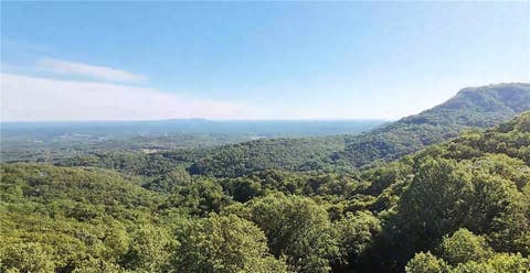 Vacant Land For Sale - LOT 18 Raven Road<br/> Landrum, SC 29356
