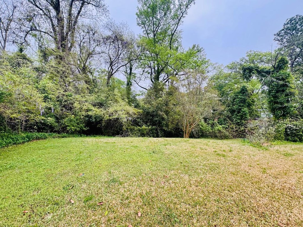 704 North Street, Greenwood, South Carolina image 39