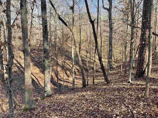 00 Beardon Hollow Road, Westminster, South Carolina image 7