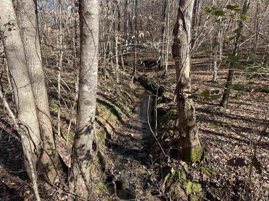 00 Beardon Hollow Road, Westminster, South Carolina image 3