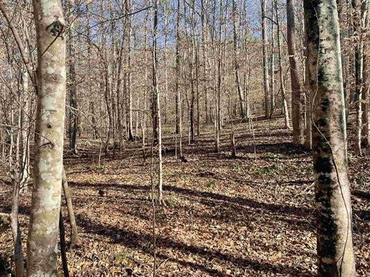 00 Beardon Hollow Road, Westminster, South Carolina image 5