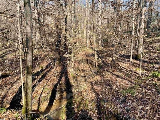 00 Beardon Hollow Road, Westminster, South Carolina image 4