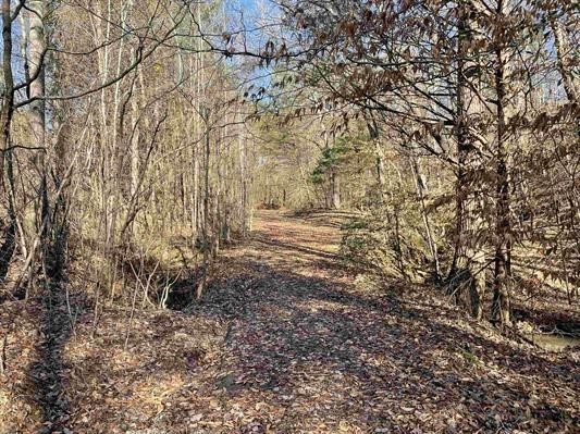 00 Beardon Hollow Road, Westminster, South Carolina image 9