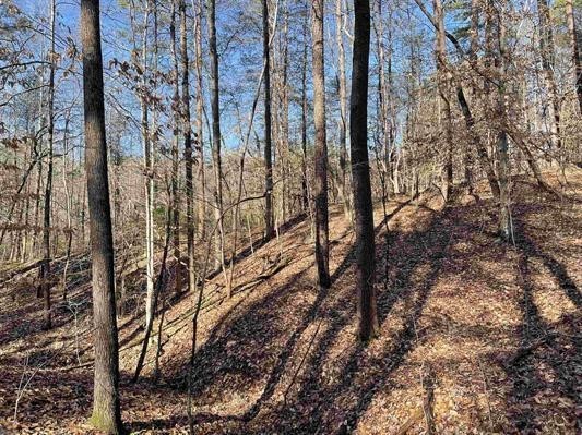 00 Beardon Hollow Road, Westminster, South Carolina image 6