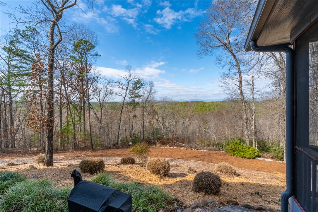 134 Ellenburg Creek Road, Sunset, South Carolina image 33