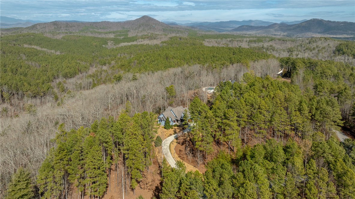 134 Ellenburg Creek Road, Sunset, South Carolina image 43