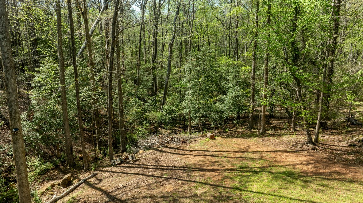 214 Country Glen Lane, Pelzer, South Carolina image 40
