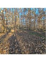Coffee Road, Westminster, South Carolina image 16