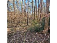 Coffee Road, Westminster, South Carolina image 25