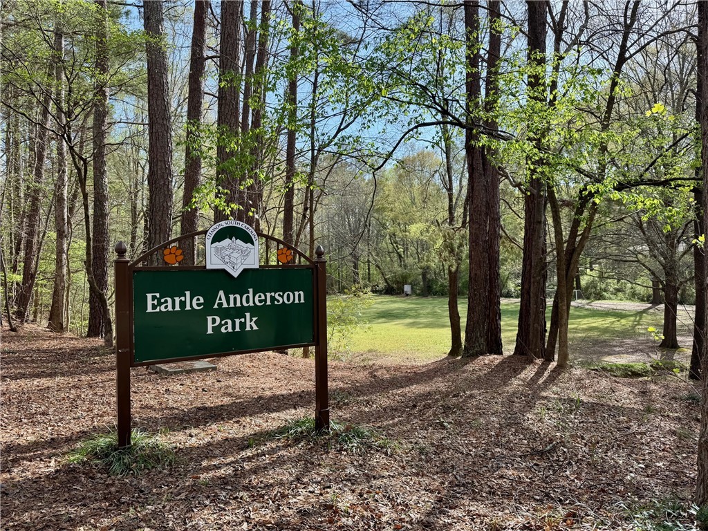 101 Lancelot Drive, Clemson, South Carolina image 39