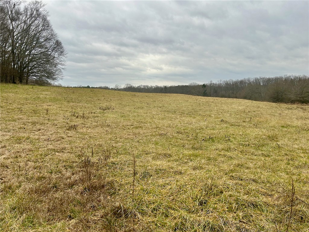 00 Joe Black Road, Pelzer, South Carolina image 6