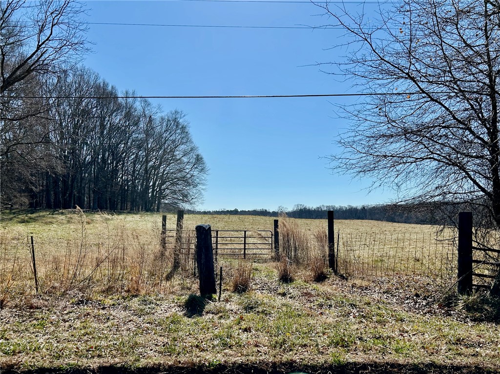 00 Joe Black Road, Pelzer, South Carolina image 7
