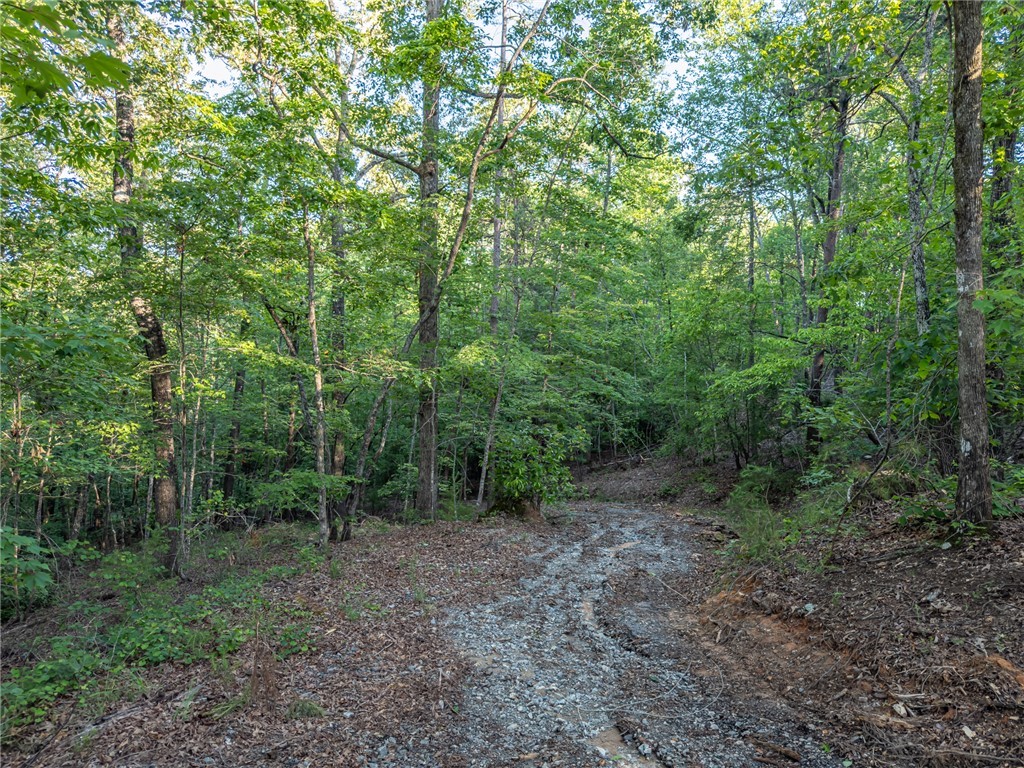 Lot 22 Old Shallowford Bridge Road, Sunset, South Carolina image 5