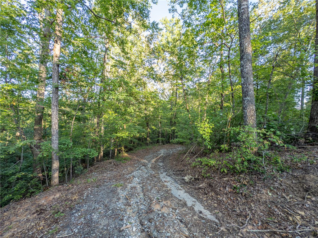 Lot 22 Old Shallowford Bridge Road, Sunset, South Carolina image 3