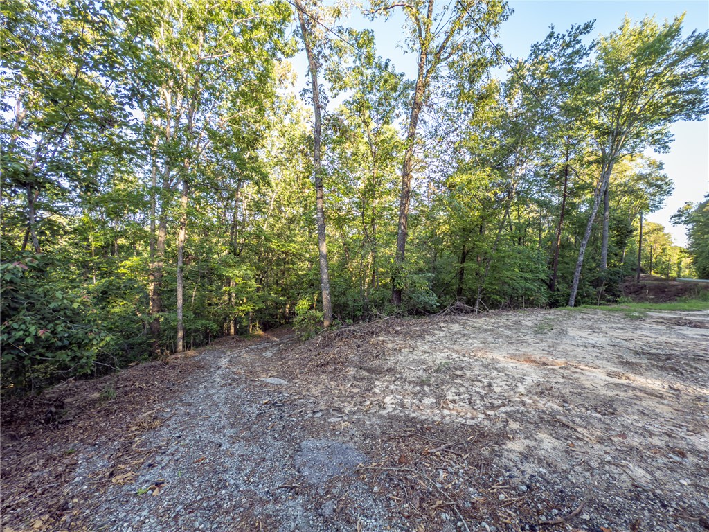 Lot 22 Old Shallowford Bridge Road, Sunset, South Carolina image 2