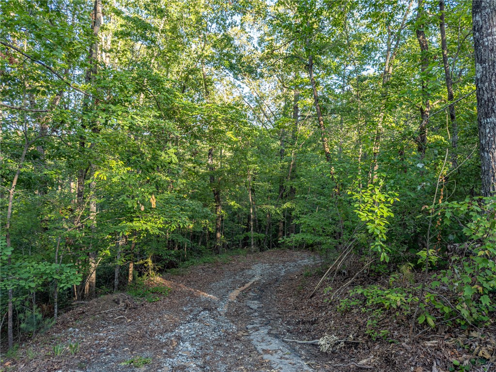 Lot 22 Old Shallowford Bridge Road, Sunset, South Carolina image 4