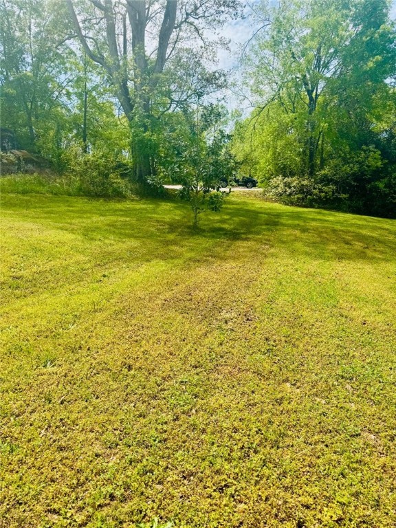 Brooks Street, Abbeville, South Carolina image 10