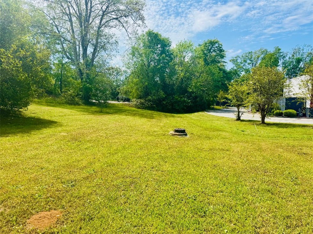 Brooks Street, Abbeville, South Carolina image 8