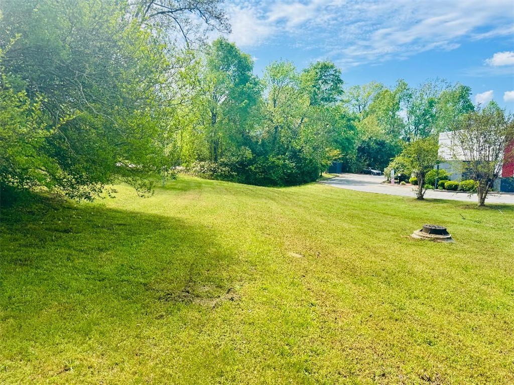 Brooks Street, Abbeville, South Carolina image 5