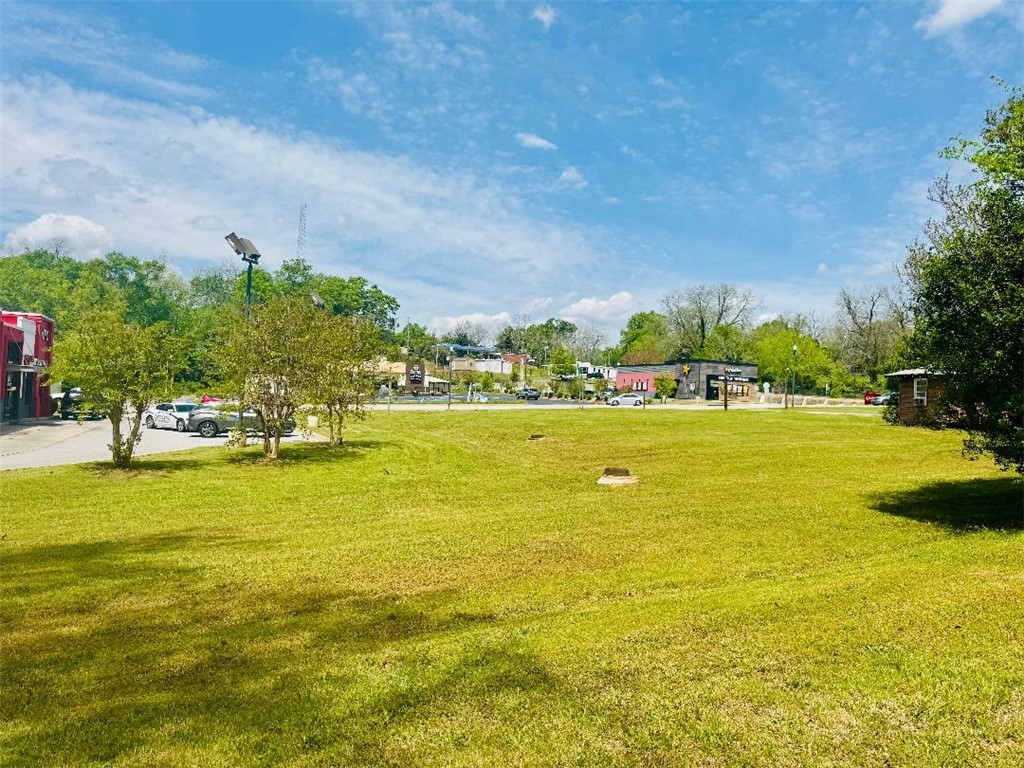Brooks Street, Abbeville, South Carolina image 3
