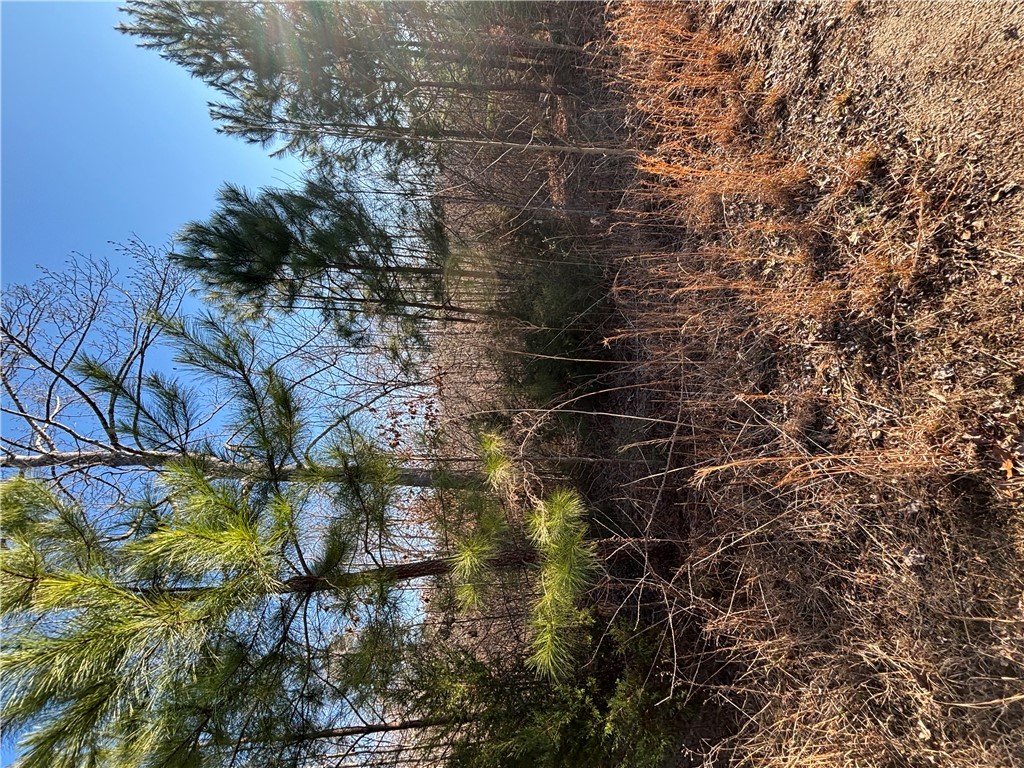Lot 69 Riverbend Road, Fair Play, South Carolina image 5