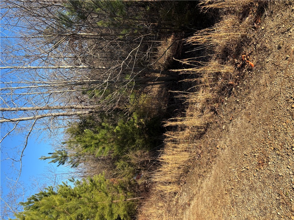 Lot 69 Riverbend Road, Fair Play, South Carolina image 4