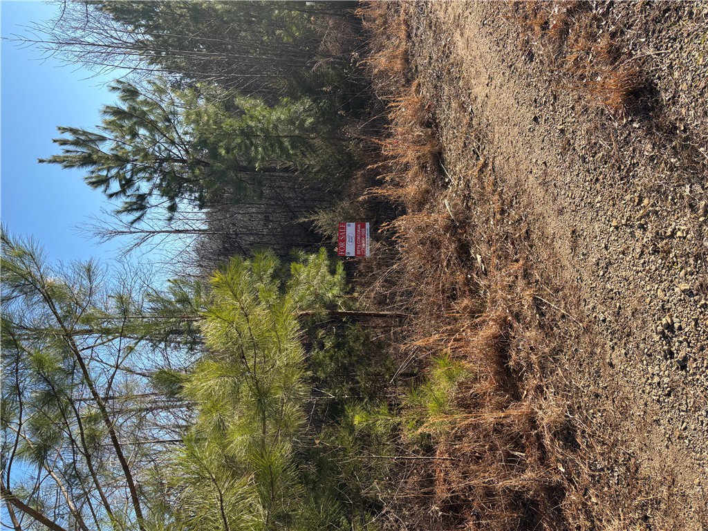 Lot 69 Riverbend Road, Fair Play, South Carolina image 3