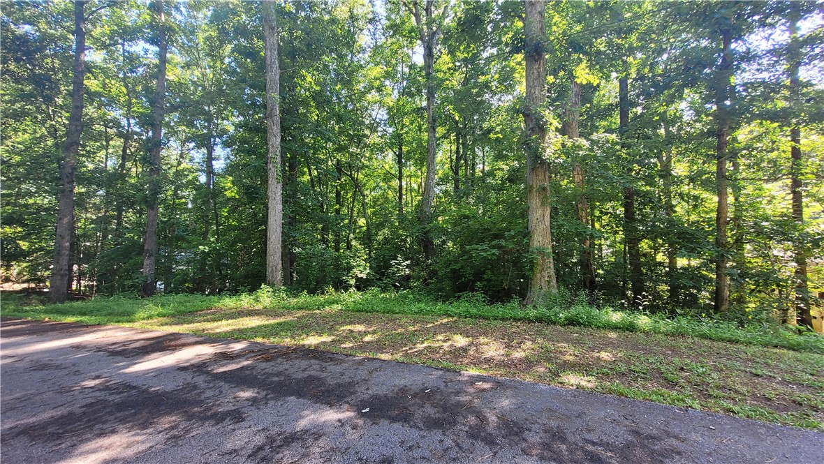 279 Tallulah Drive, Westminster, South Carolina image 4