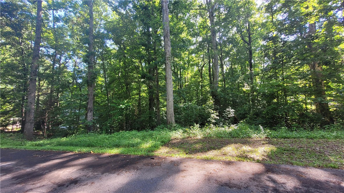 279 Tallulah Drive, Westminster, South Carolina image 5