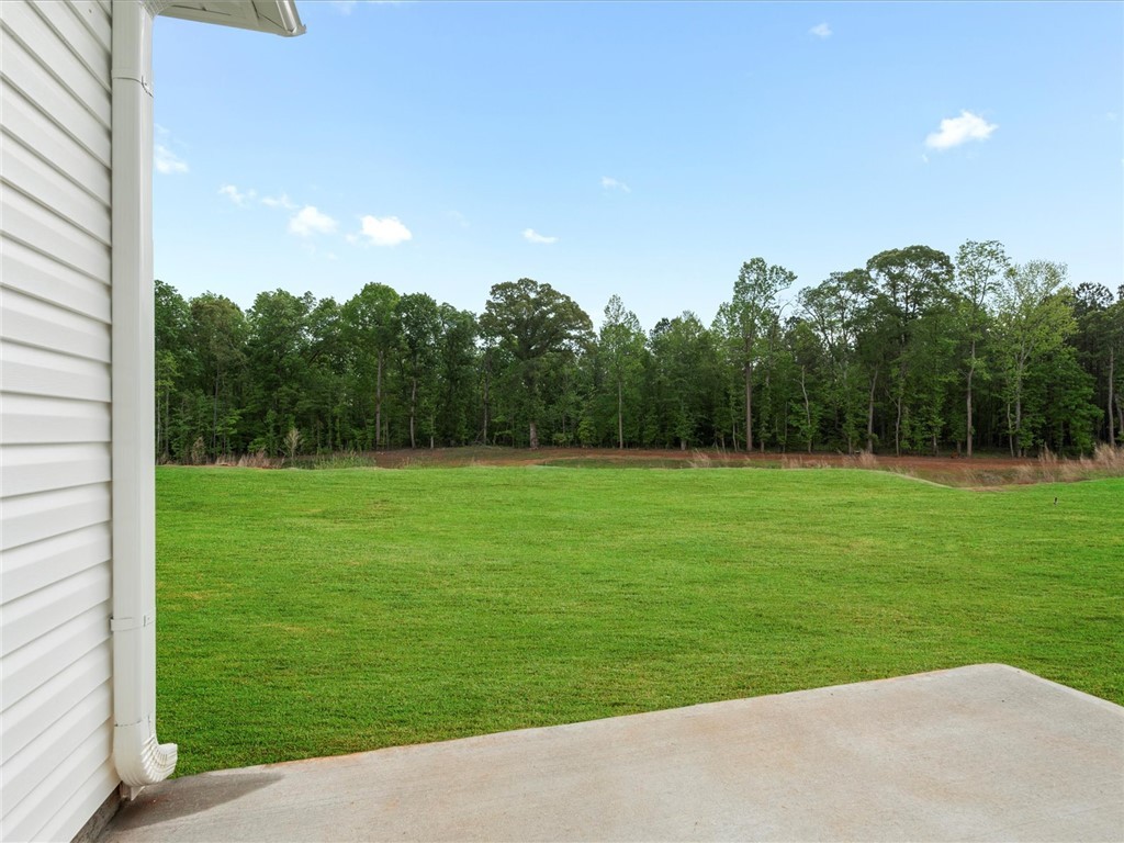 860 Penfold Pointe, Wellford, South Carolina image 25