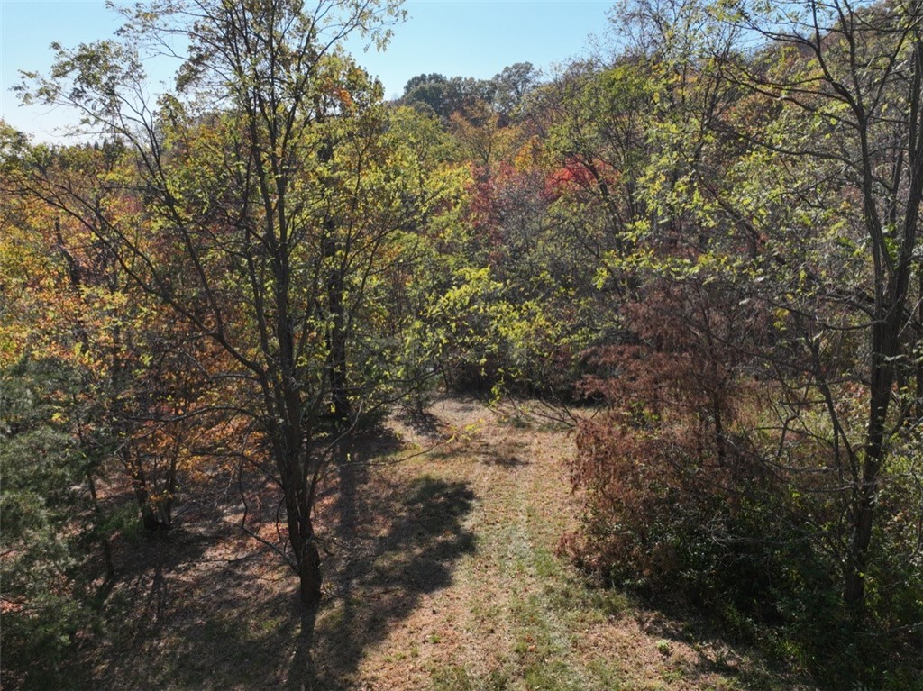 106 Ridge Pass Way, Landrum, South Carolina image 18