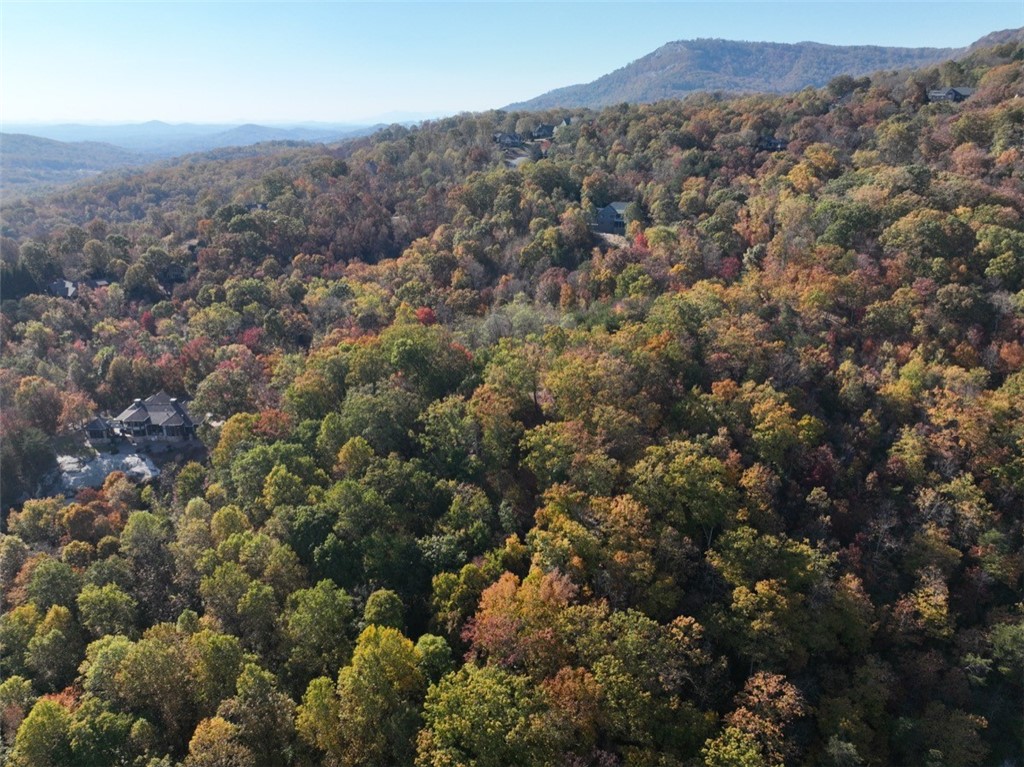 106 Ridge Pass Way, Landrum, South Carolina image 11