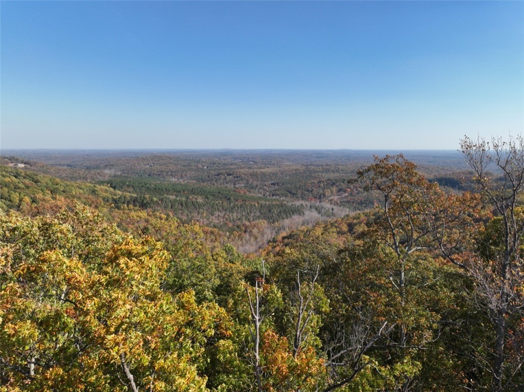 106 Ridge Pass Way, Landrum, South Carolina image 15