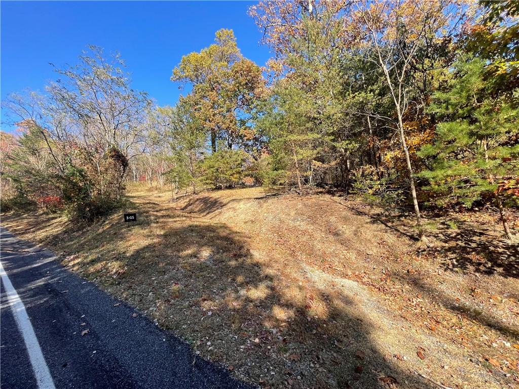 106 Ridge Pass Way, Landrum, South Carolina image 2