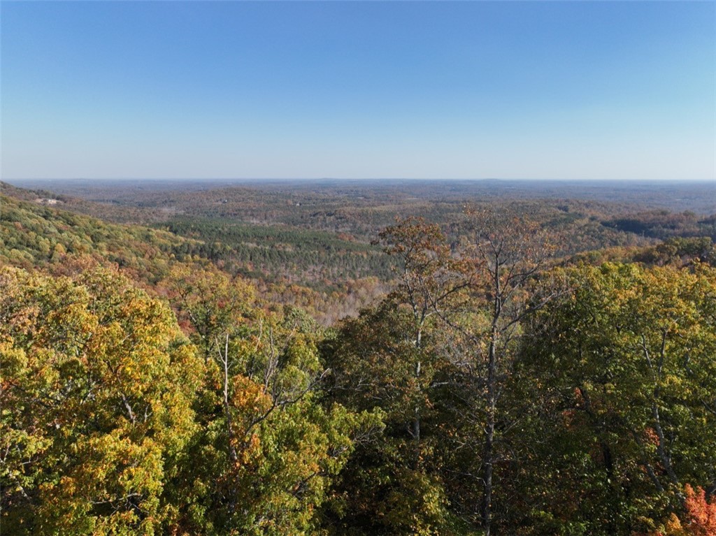 106 Ridge Pass Way, Landrum, South Carolina image 3