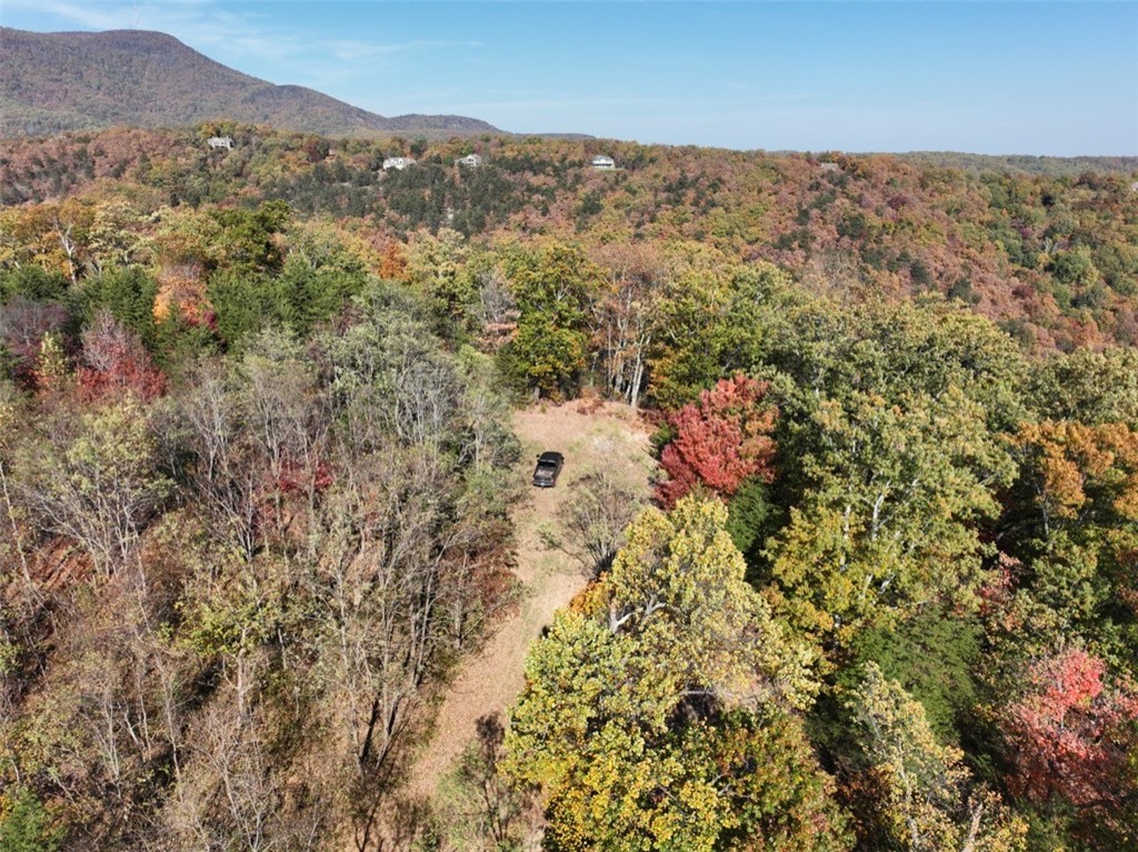 106 Ridge Pass Way, Landrum, South Carolina image 6