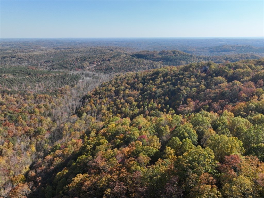 106 Ridge Pass Way, Landrum, South Carolina image 10