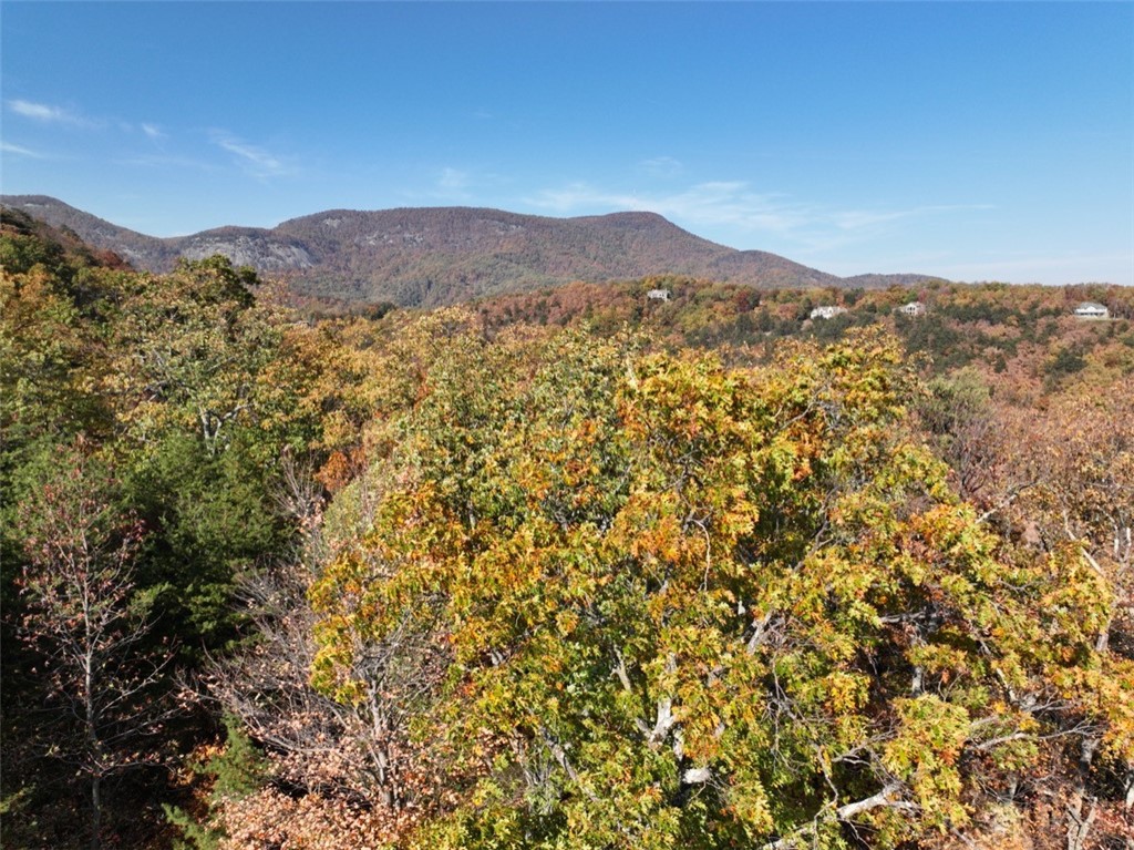 106 Ridge Pass Way, Landrum, South Carolina image 16