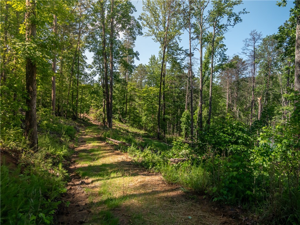 00 Old Keowee Church Road, Six Mile, South Carolina image 30
