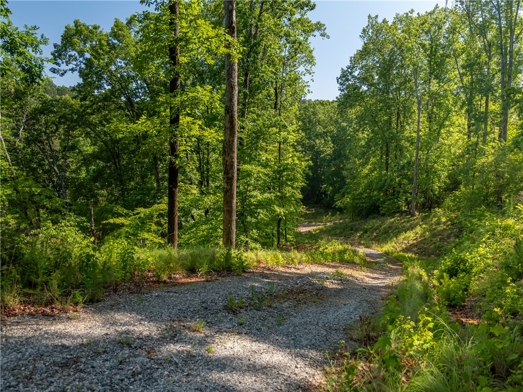 00 Old Keowee Church Road, Six Mile, South Carolina image 11