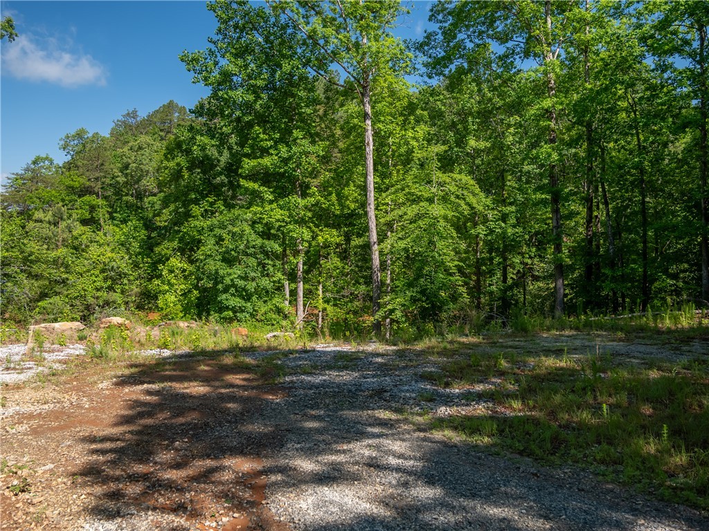 00 Old Keowee Church Road, Six Mile, South Carolina image 9