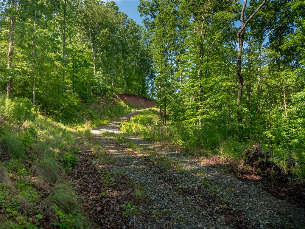 00 Old Keowee Church Road, Six Mile, South Carolina image 10
