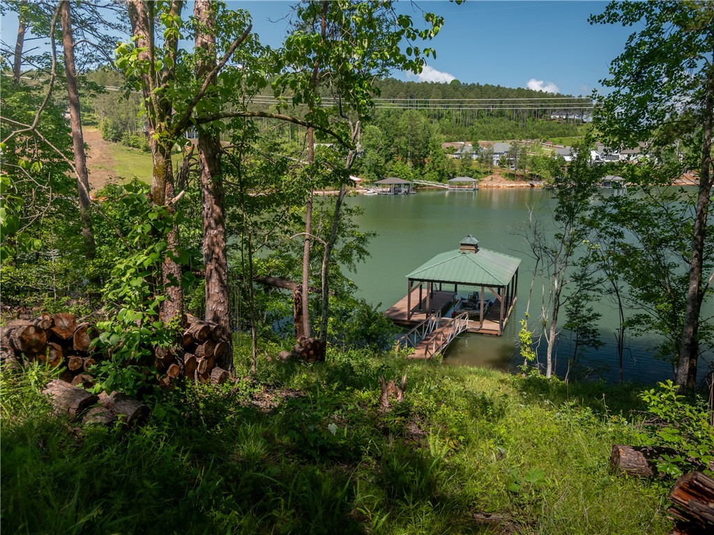 00 Old Keowee Church Road, Six Mile, South Carolina image 20