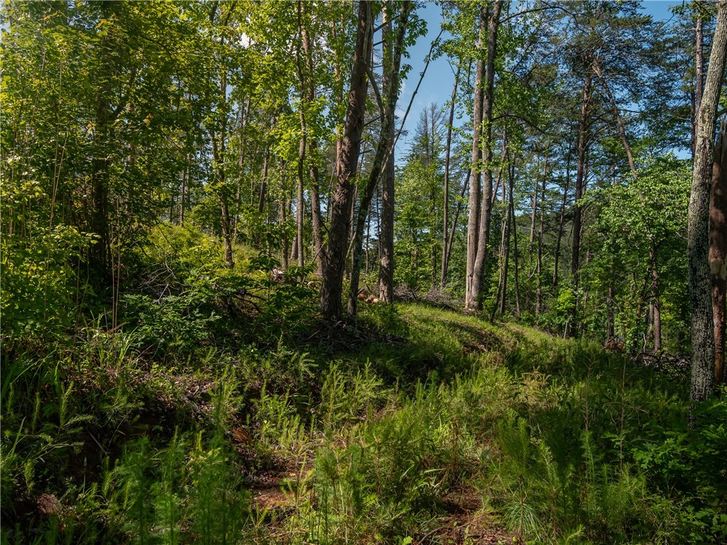 00 Old Keowee Church Road, Six Mile, South Carolina image 36